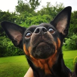 Meet your Posher, Minn